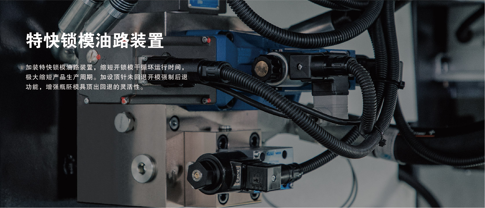 &#109;&#107;&#23448;&#32593;